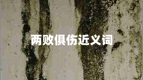 兩敗俱傷近義詞