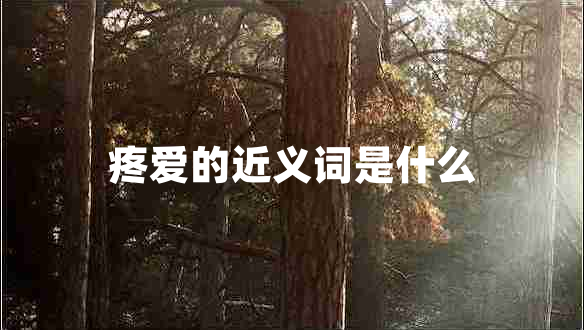 疼愛的近義詞是什么