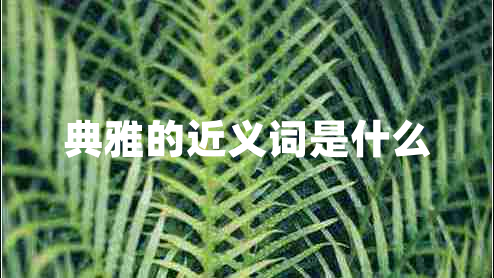 典雅的近義詞是什么