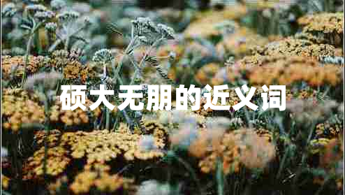 碩大無朋的近義詞