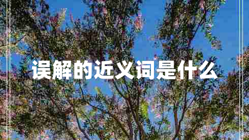 誤解的近義詞是什么