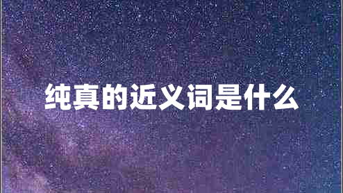 純真的近義詞是什么