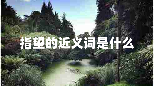 指望的近義詞是什么