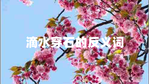 滴水穿石的反義詞