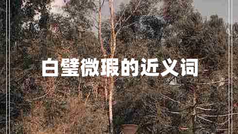 白璧微瑕的近義詞