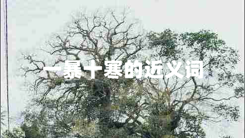 一暴十寒的近義詞