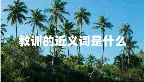 教訓(xùn)的近義詞是什么