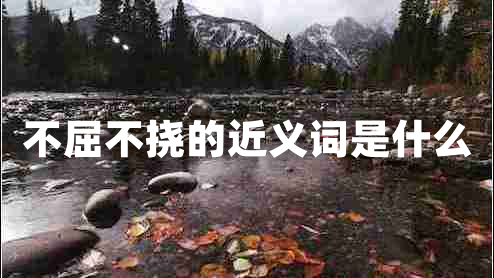 不屈不撓的近義詞是什么