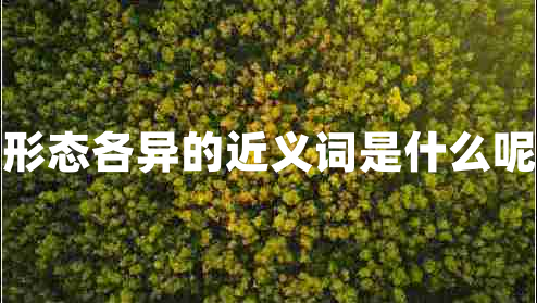 形態(tài)各異的近義詞是什么呢
