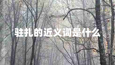 駐扎的近義詞是什么