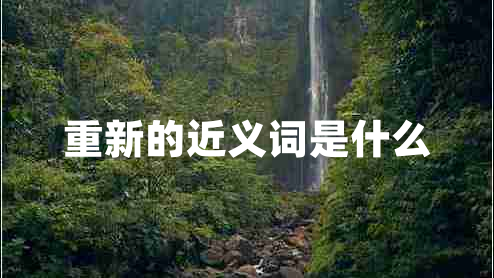 重新的近義詞是什么