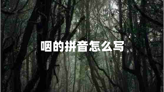 咽的拼音怎么寫