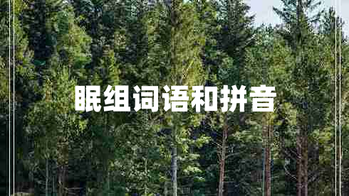 眠組詞語(yǔ)和拼音