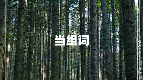 當(dāng)組詞