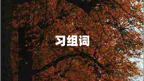 習組詞