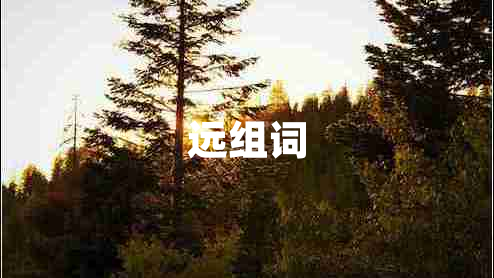 遠(yuǎn)組詞