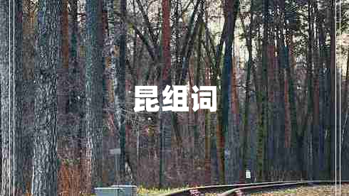 昆組詞