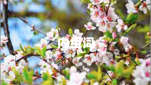 內(nèi)組詞