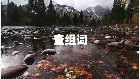 查組詞