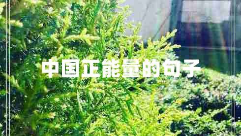 中國(guó)正能量的句子