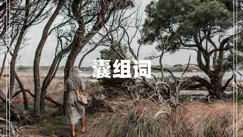 囊組詞
