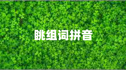 眺組詞拼音