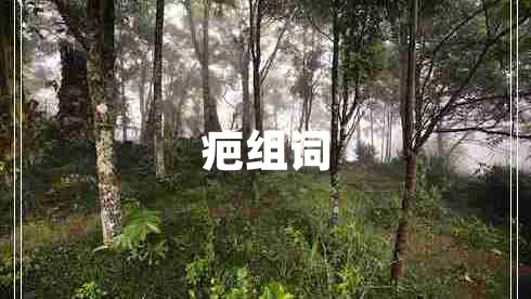 疤組詞