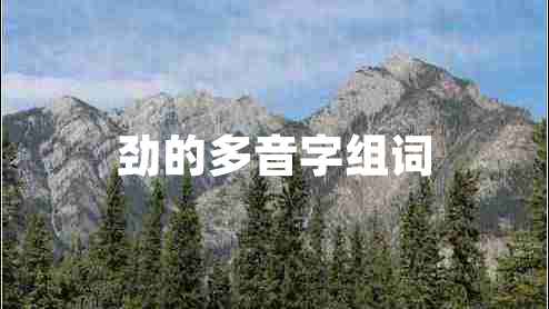 勁的多音字組詞