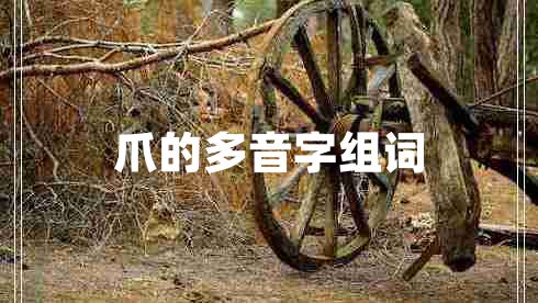 爪的多音字組詞