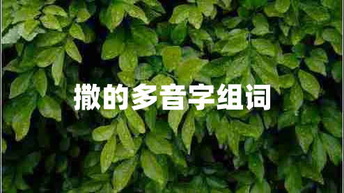 撒的多音字組詞