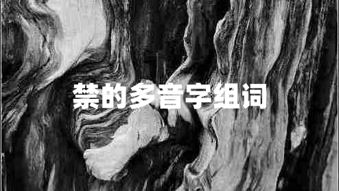 禁的多音字組詞