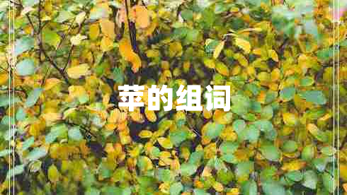 蘋(píng)的組詞