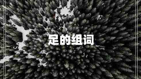 足的組詞