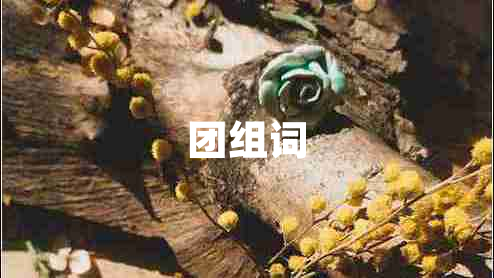 團組詞