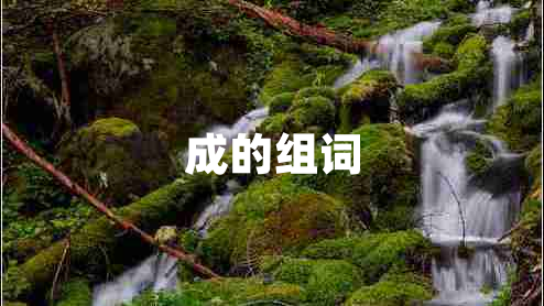 成的組詞