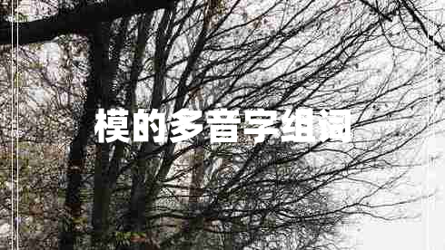 模的多音字組詞