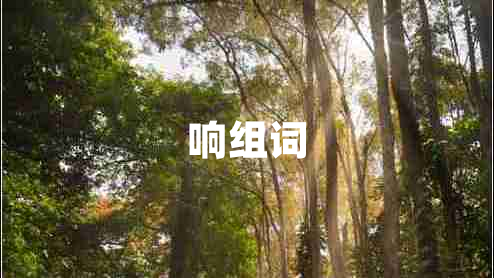 響組詞
