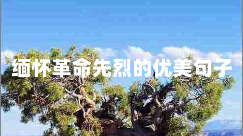 緬懷革命先烈的優(yōu)美句子