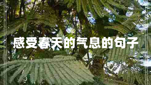 感受春天的氣息的句子