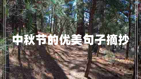中秋節(jié)的優(yōu)美句子摘抄