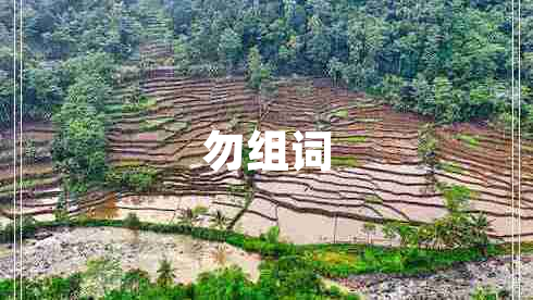 勿組詞