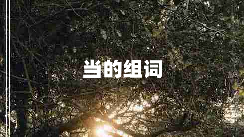 當(dāng)?shù)慕M詞