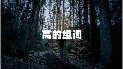 高的組詞