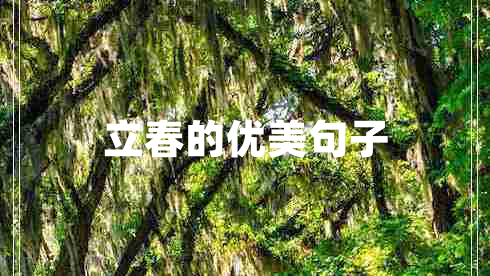 立春的優(yōu)美句子