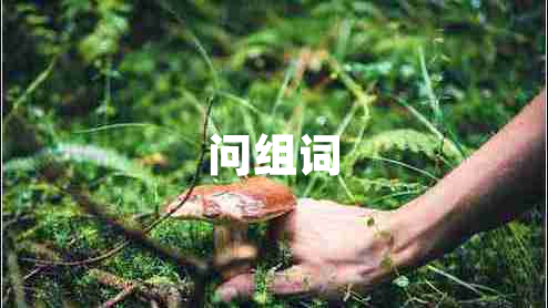 問組詞