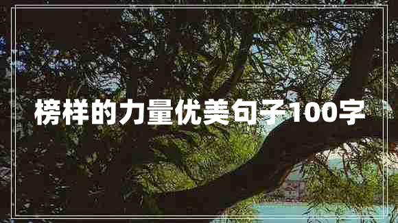 榜樣的力量優(yōu)美句子100字