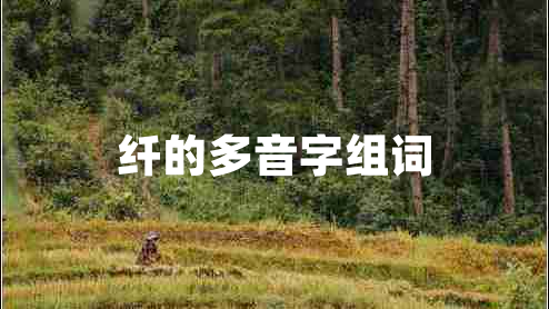 纖的多音字組詞