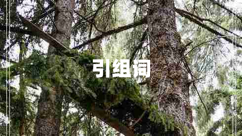 引組詞
