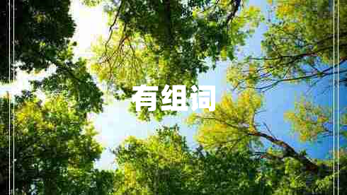 有組詞 有組詞