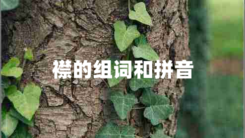 襟的組詞和拼音 襟的組詞和拼音